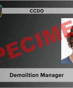 demolition manager