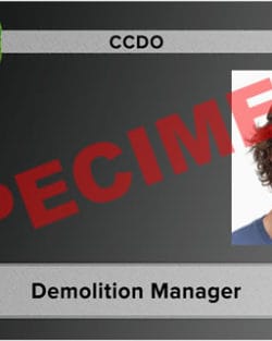 demolition manager