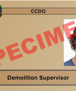demolition supervisor
