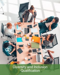 Diversity and Inclusion Qualification